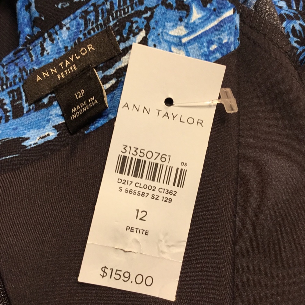 SALE - “Get The Look” Ann Taylor same dress - different print - Picture 11 of 13